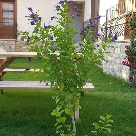 Sezgin Boutique 쿠사다시