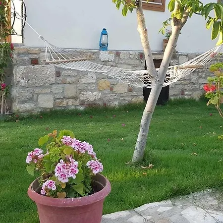 Ξενοδοχείο Sezgin Boutique *